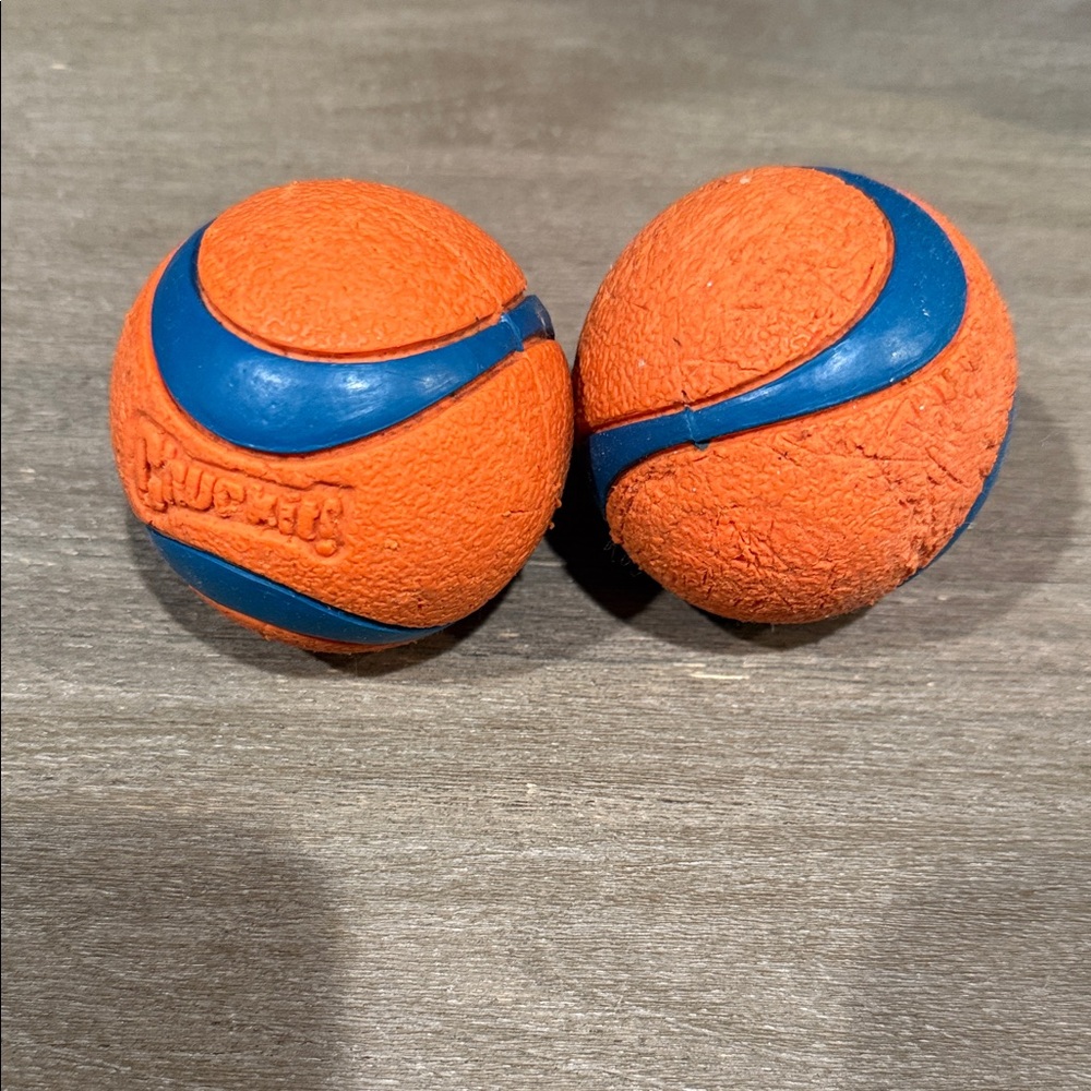 Chuckit! Orange and Blue Dog Balls Size Medium